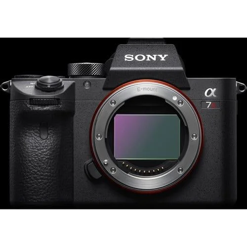 Buy Sony Alpha a7R III Mirrorless Digital Camera (Body Only