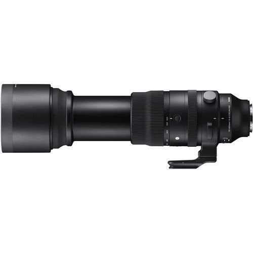 Buy Sigma 150-600mm f/5-6.3 DG DN OS Sports Lens for Sony E at 